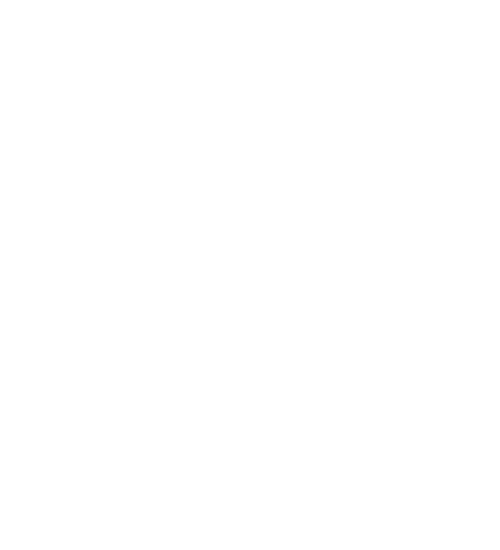 Scarlet Oak Strategies LLC Logo